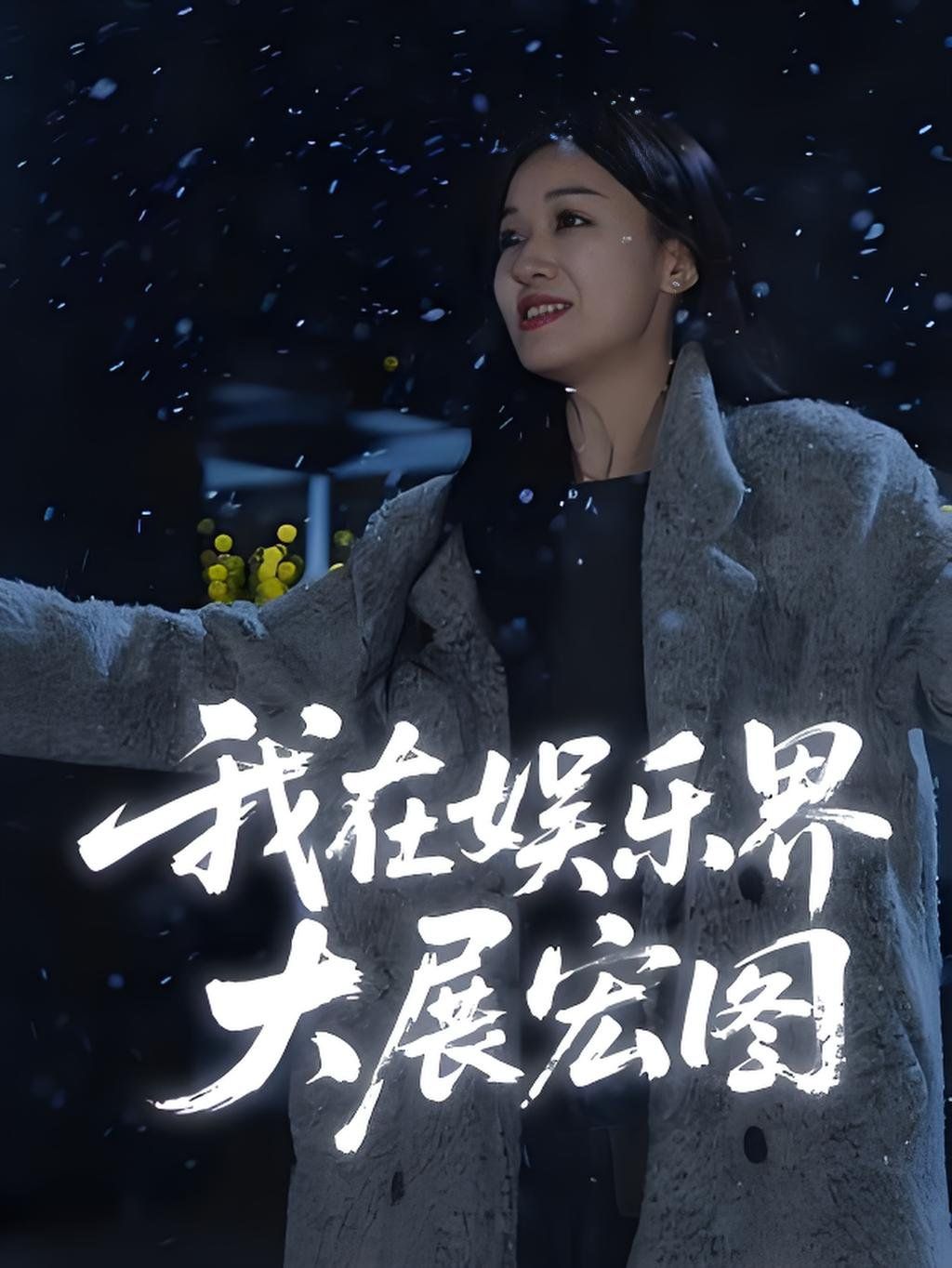 娱界掌舵人（我在娱乐界大展宏图）