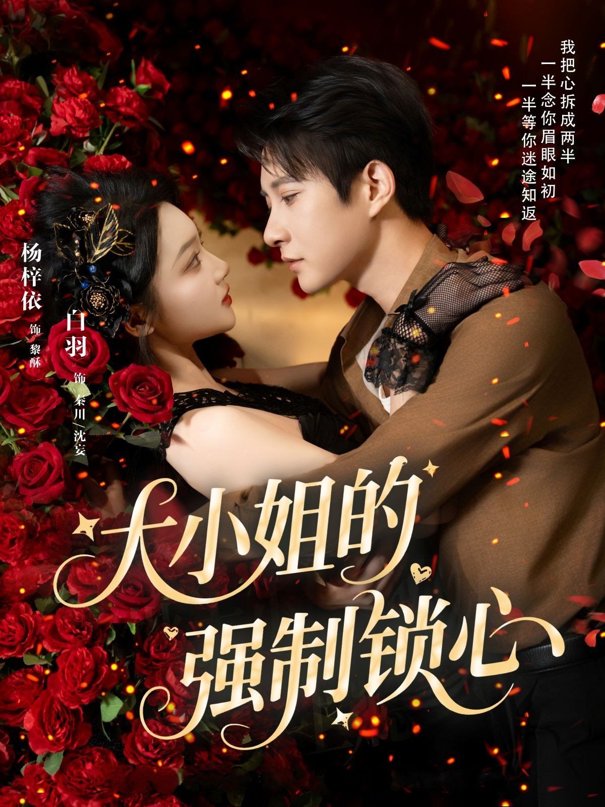 大小姐的强制锁心